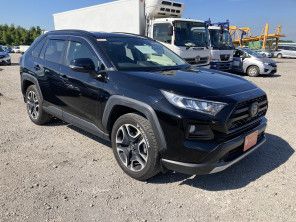 2020 Toyota RAV4 thumbnail
